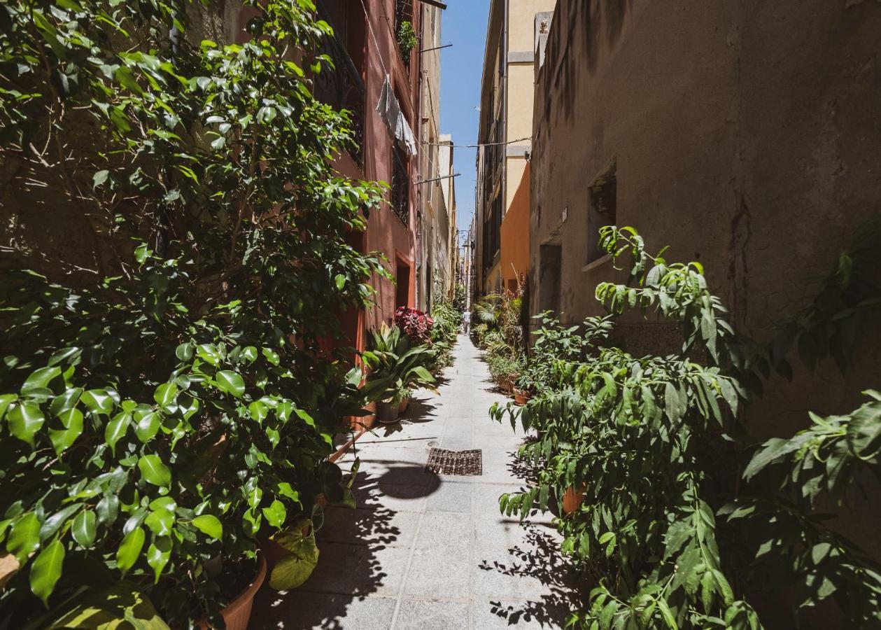 Appartamento Maestrale - Quartiere Castello Cagliari Exteriör bild